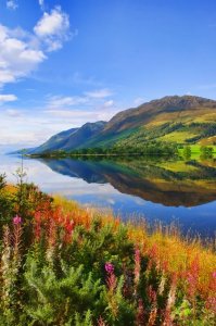 destination ferry Irlande