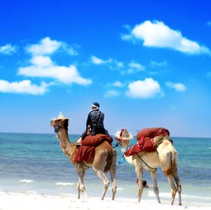 destination ferry Tunisie